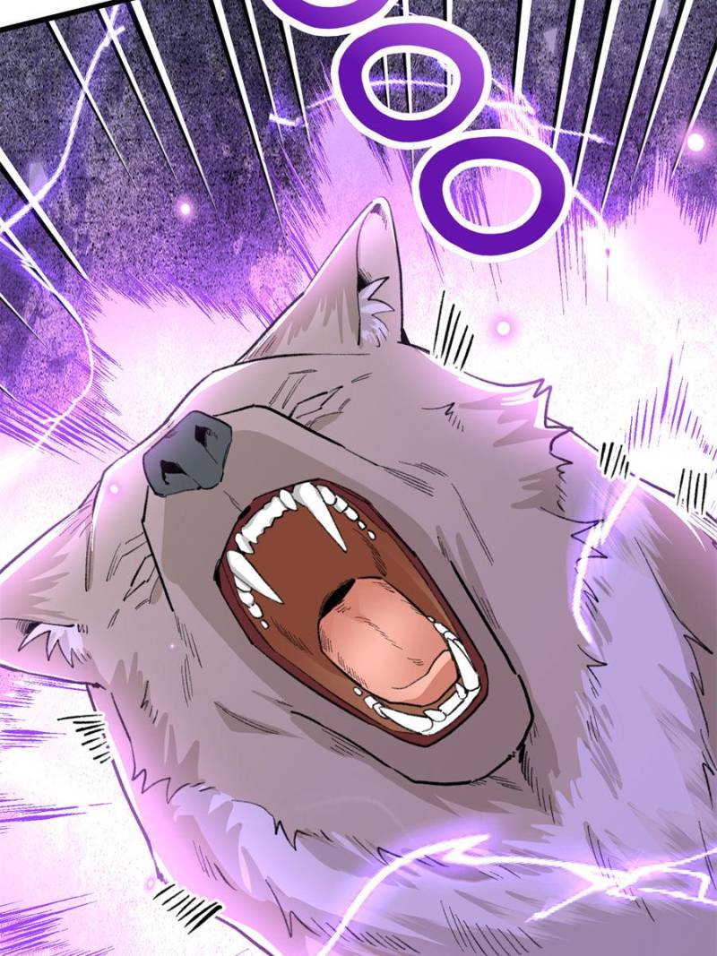 81494795 800 1067 142128